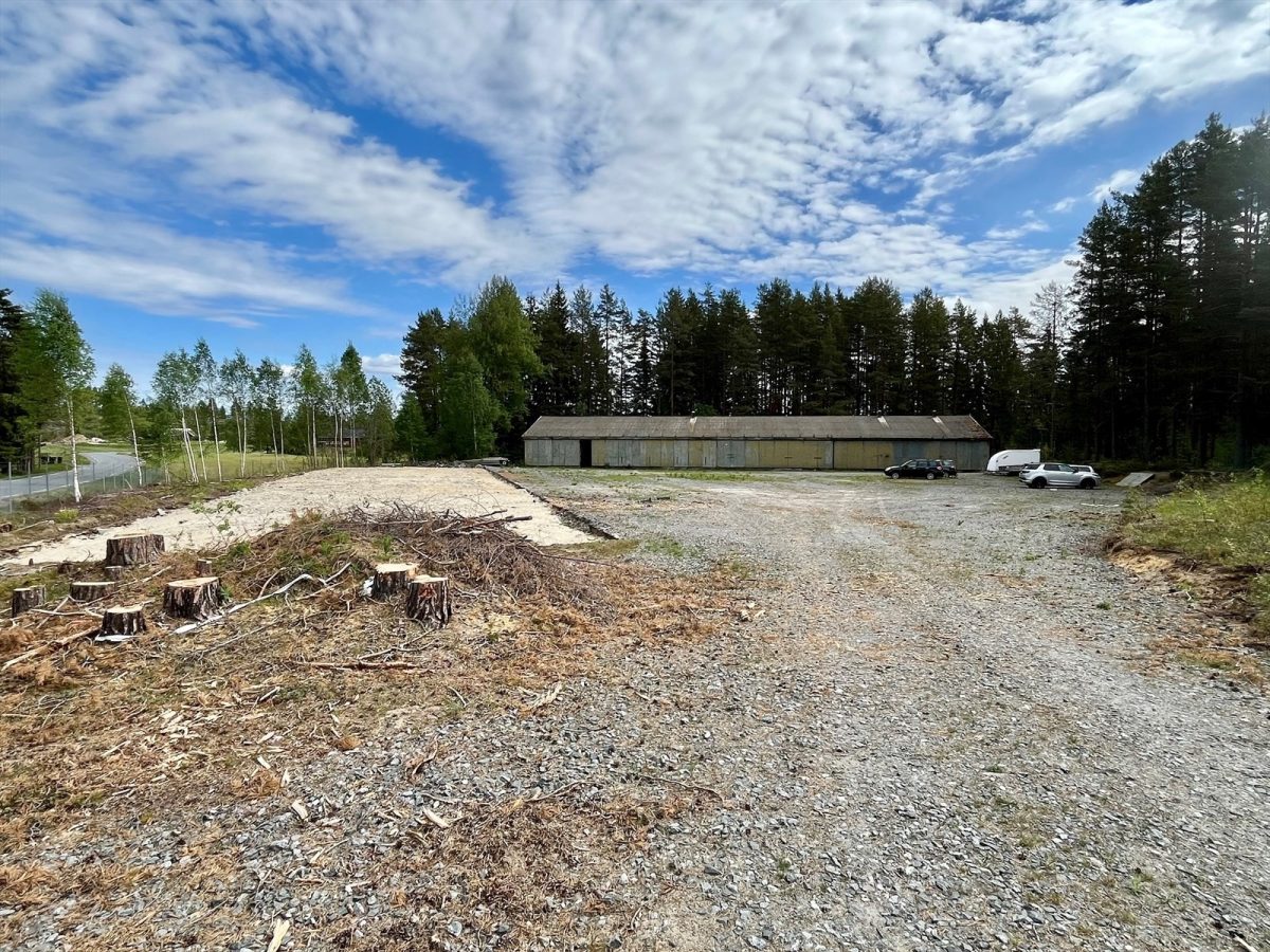 077_91727767-759a-4789-aacc-d59180d91913