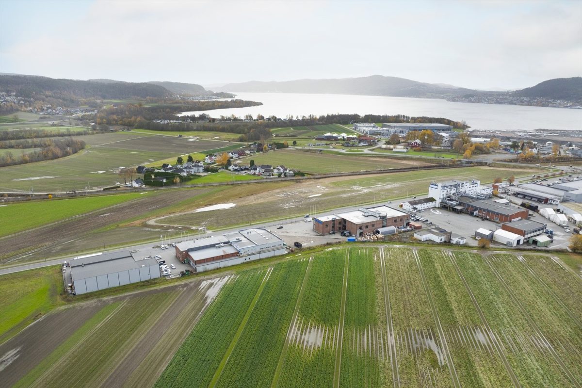 228_98cb6cc0-5ed5-4e78-a86b-43b99885df1c