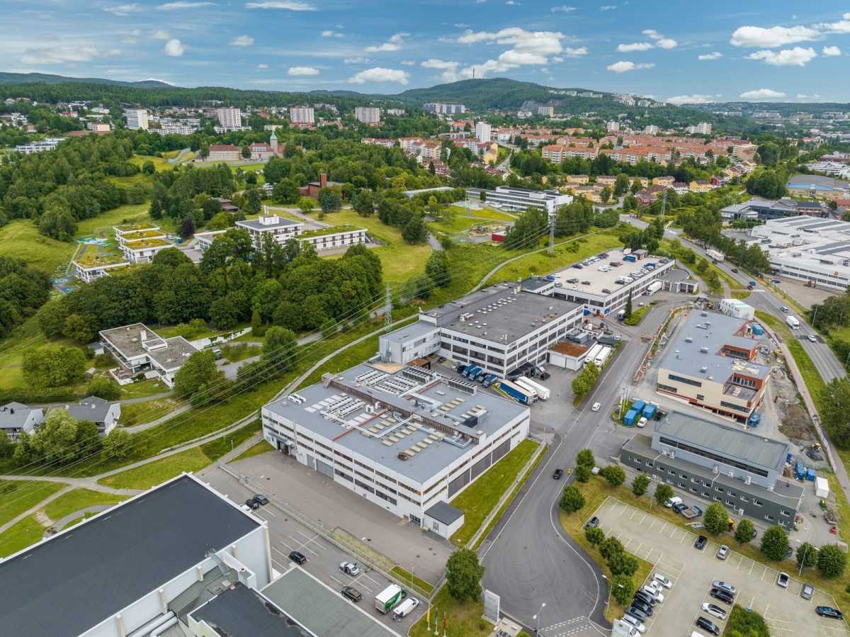 493_17d50d6b-ac99-4955-89af-7201ec7bd23b