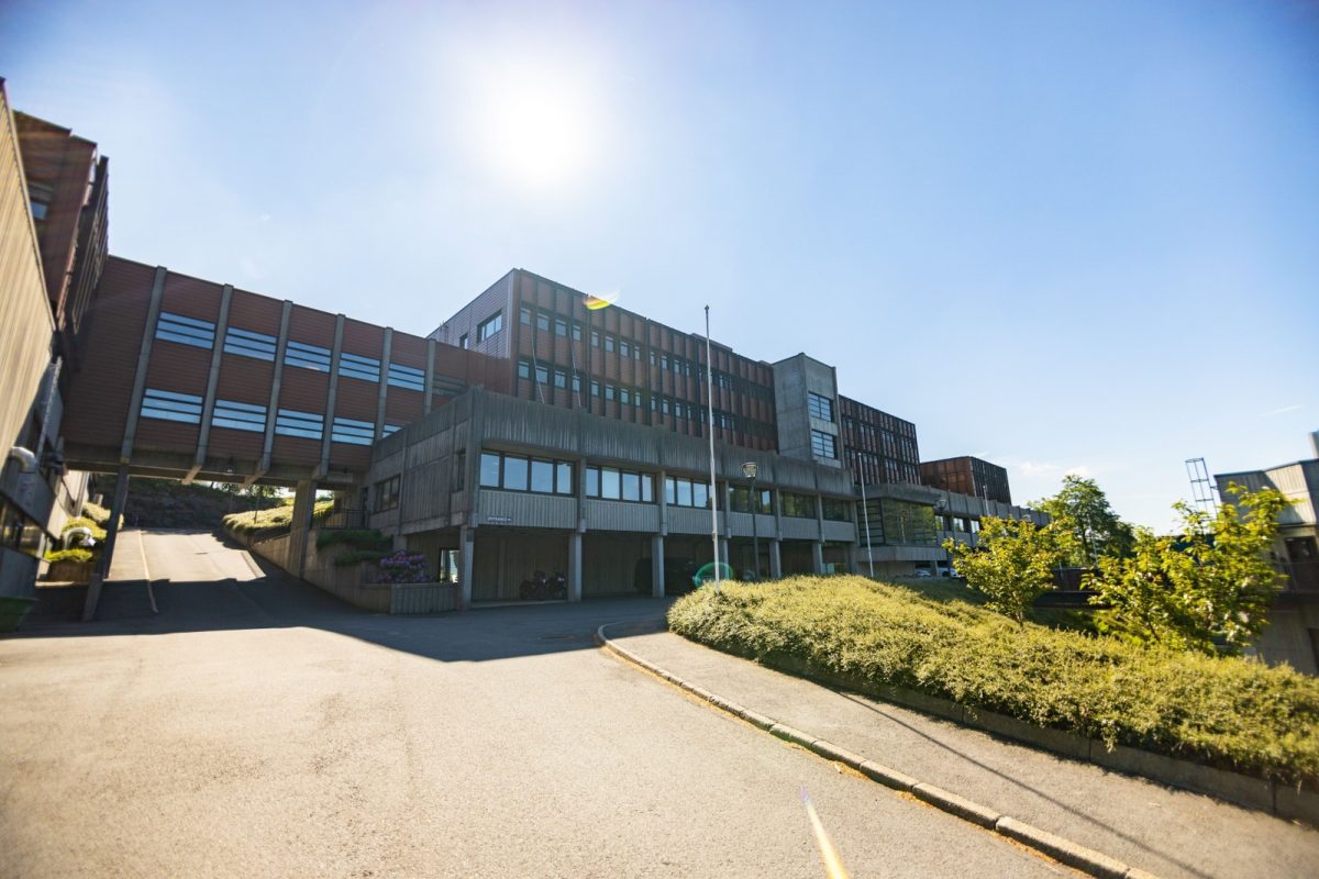 965_ec015af3-e060-4ef8-8f39-5621f2f14f88