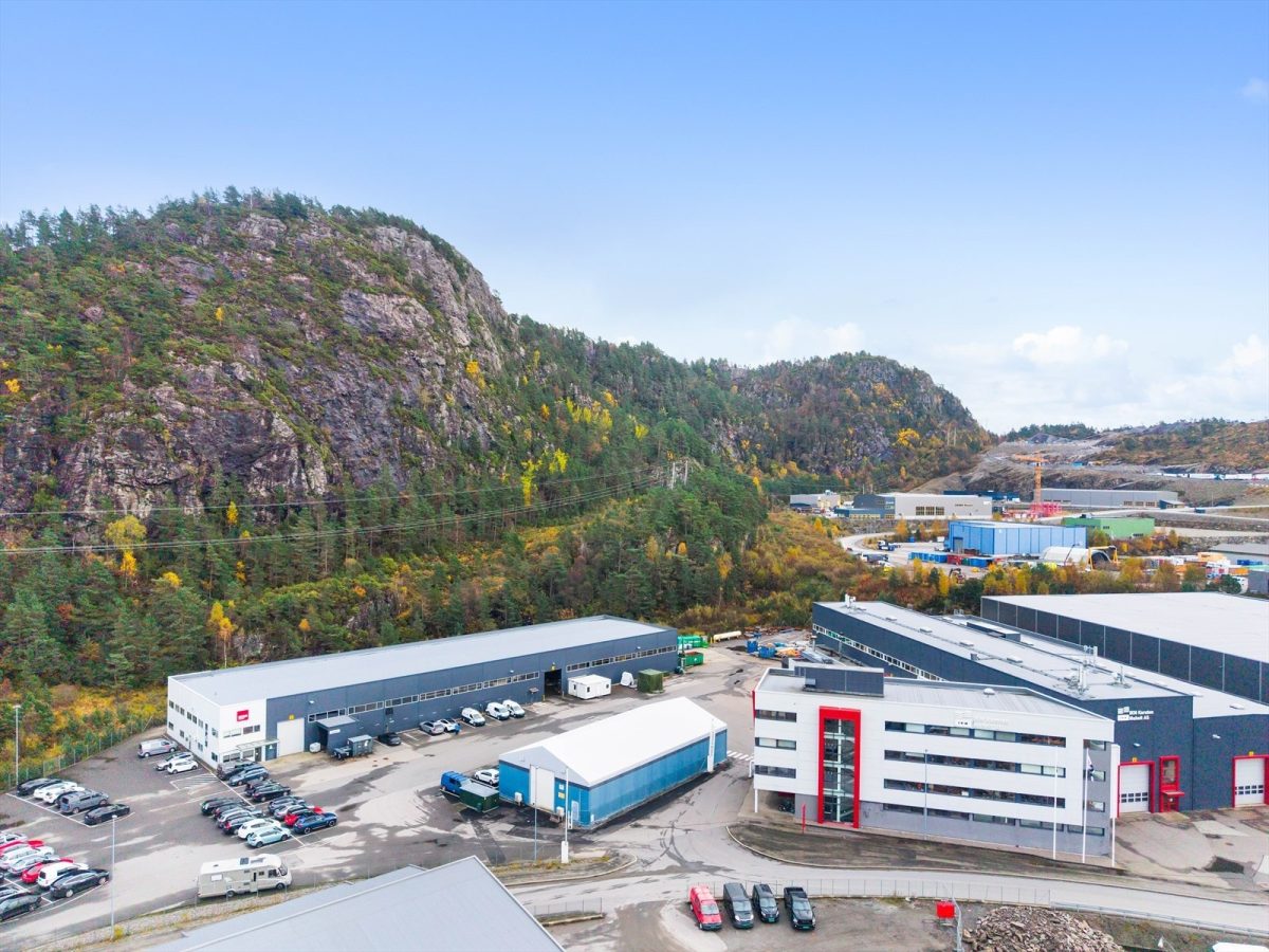 997_1d751f58-8c9b-4a24-8da9-867a1989945e