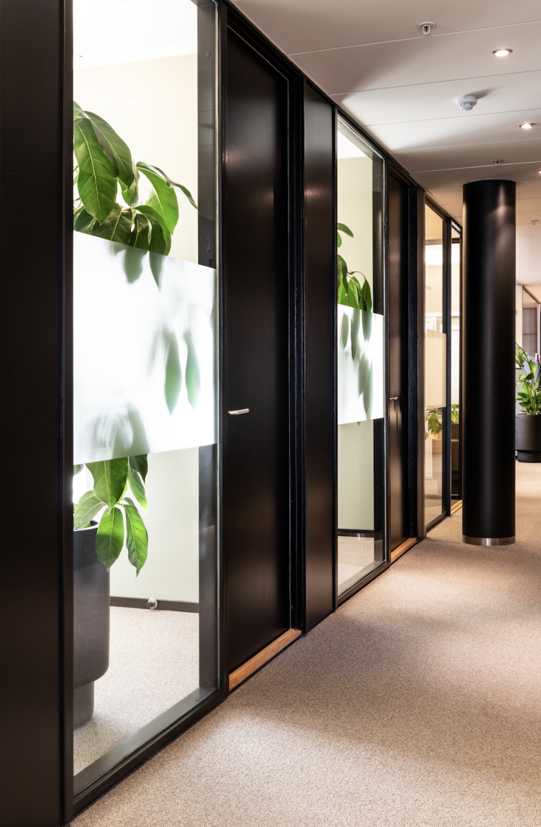 Store, grønne planter kan også brukes til å redusere innsyn i kontorer og møterom. Foto: Niklas Hart