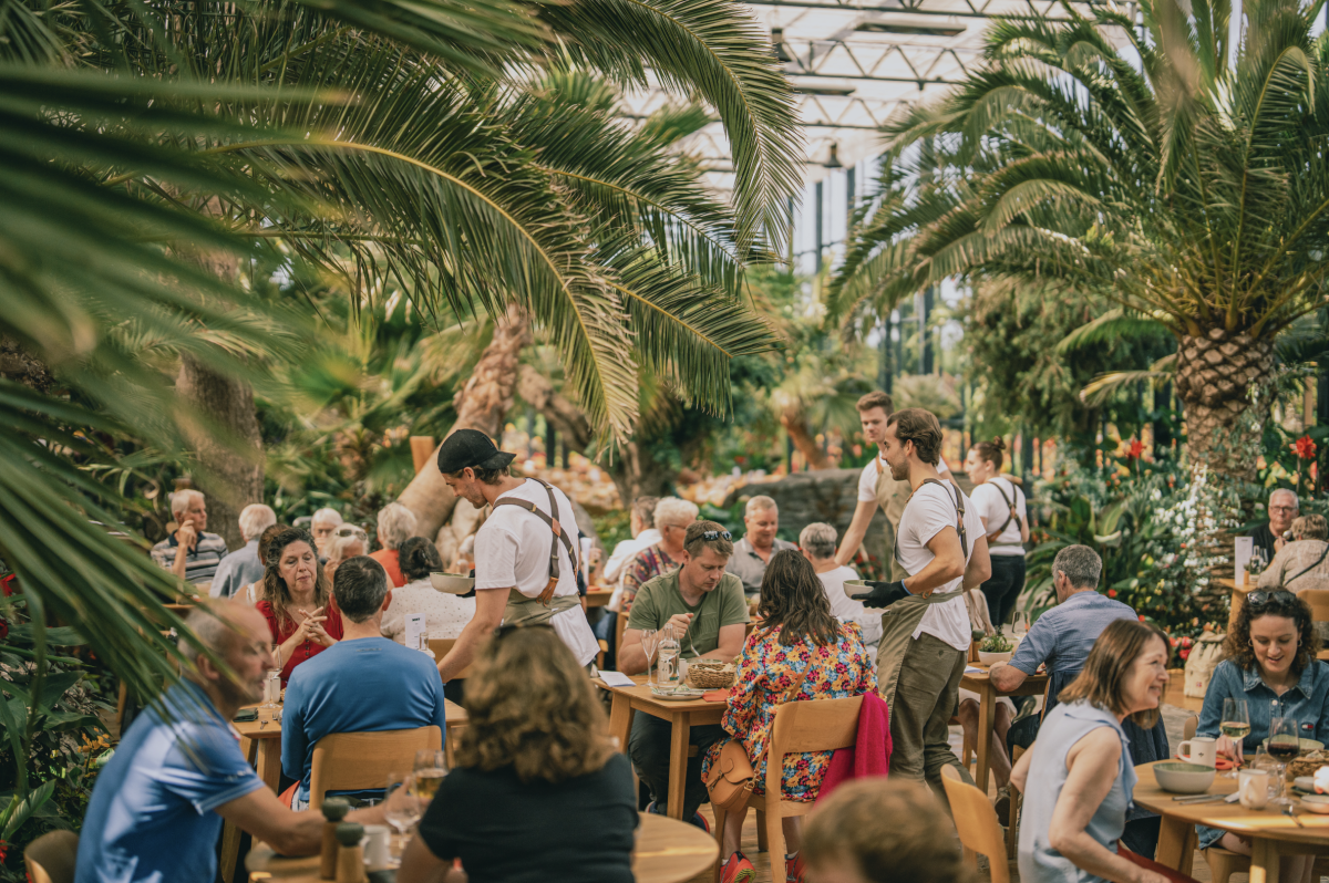 Skjermbilde 2025-11-18 kl. 11.53.14